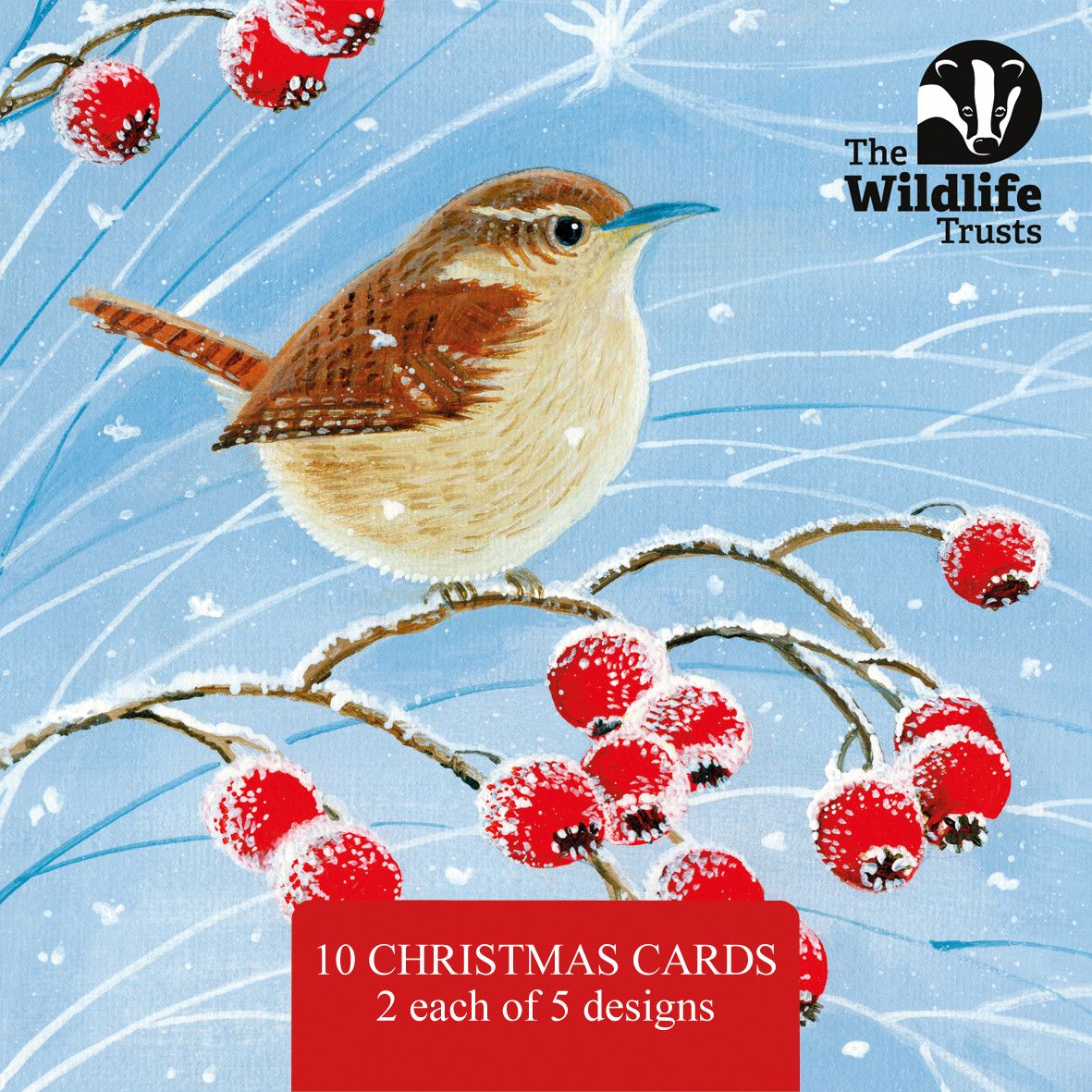 TWT Christmas Art Card pack 2025