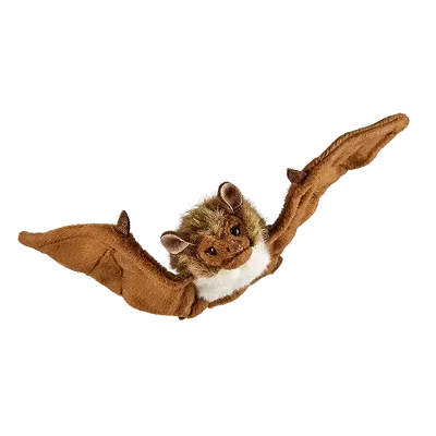 Living Nature Small Bat