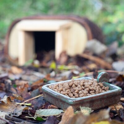 Hedgehog Snack Bowl