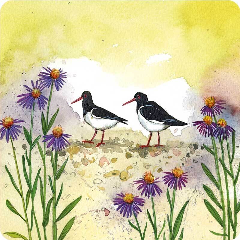 Alex Clark Oystercatchers Coaster
