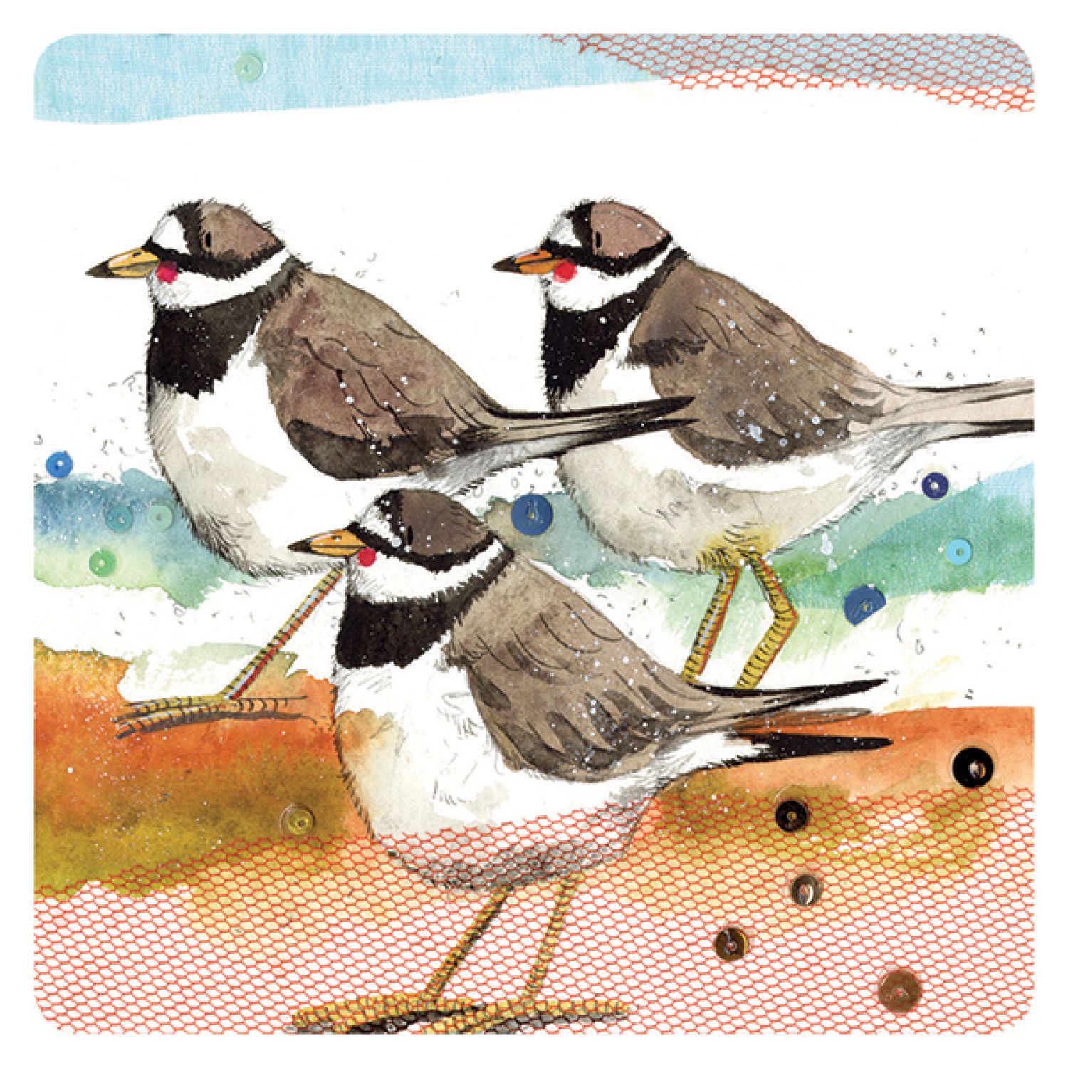 Alex Clark Ringed Plovers Coaster