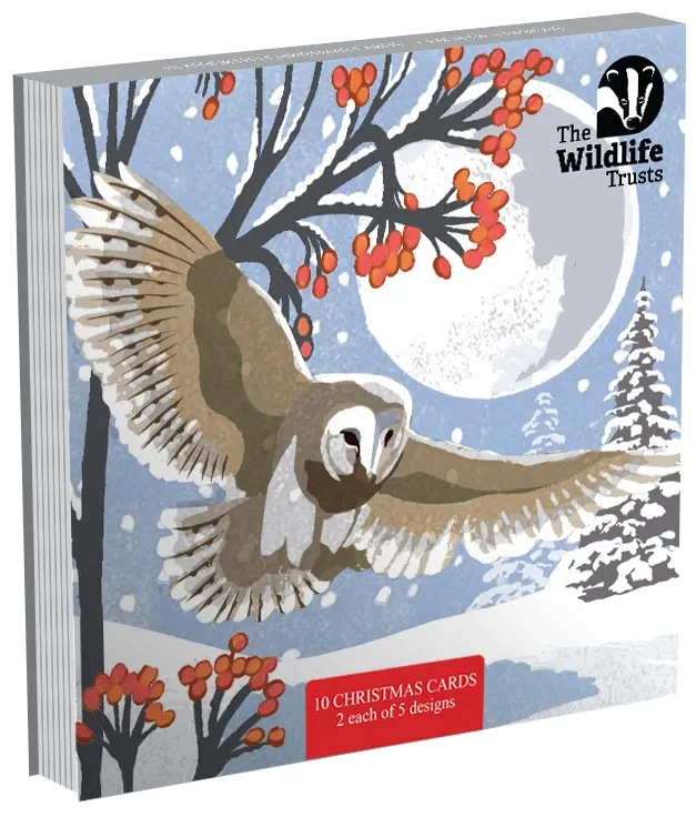 TWT Christmas Art Card pack 2026