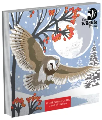 TWT Christmas Art Card pack 2026