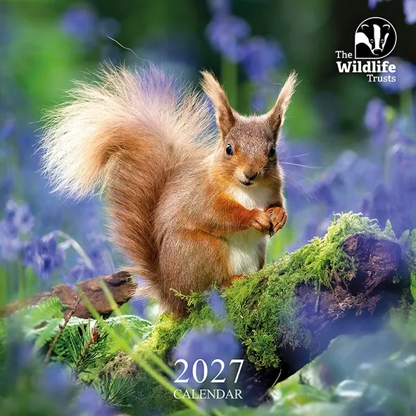 TWT Calendar 2027