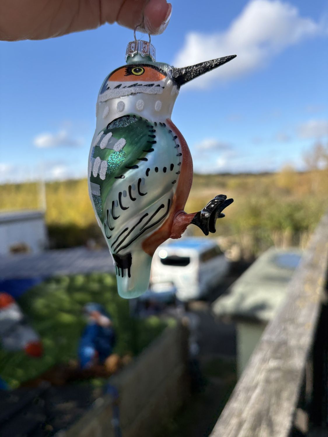 Kingfisher Shaped Bauble
