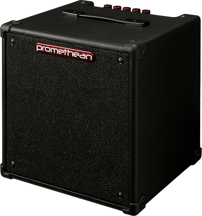 Ibanez P20 Bass Combo