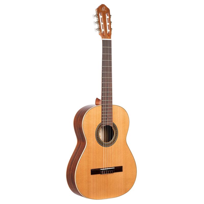Ortega R220