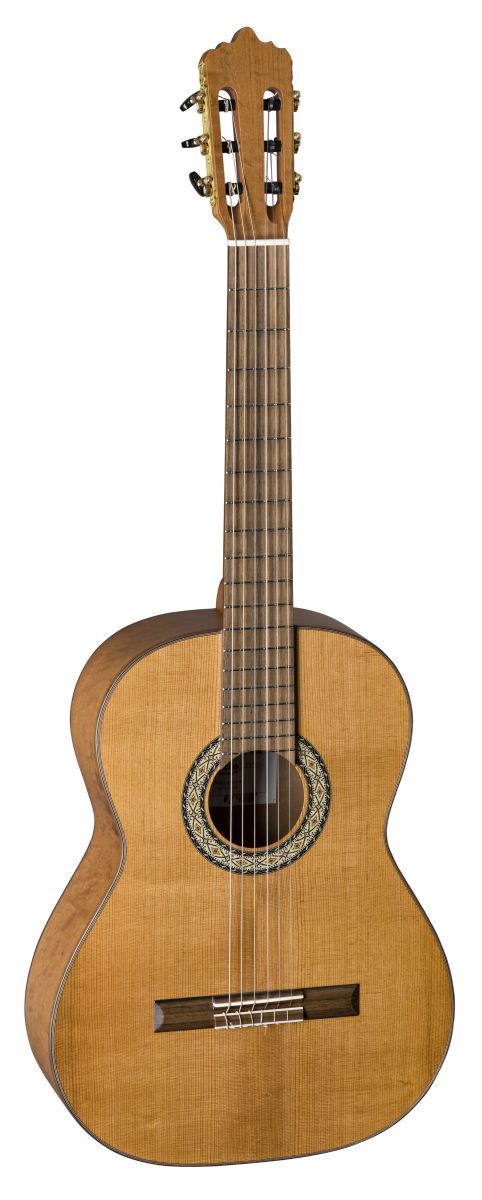 La Mancha Aliso Macizo