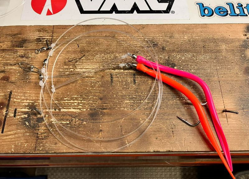 Pollack / Coalfish / Cod Pollack / Coalfish / Cod