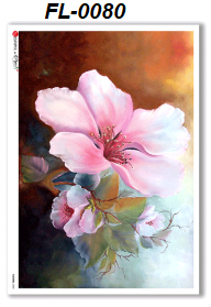 Rice Paper - Flowers