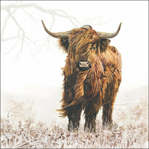 Highlander