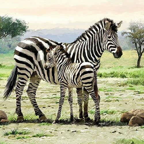 Zebra&#39;s