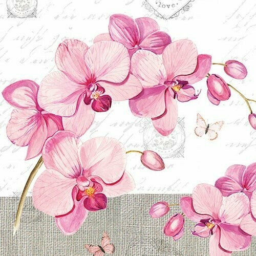 Orchids with Love