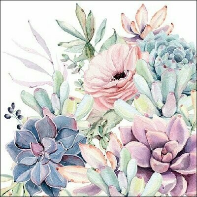 Succulent