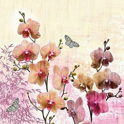 Orchids