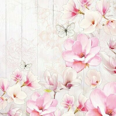 Magnolia