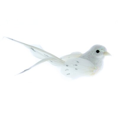 White Bird