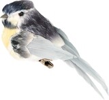 Tit Bird