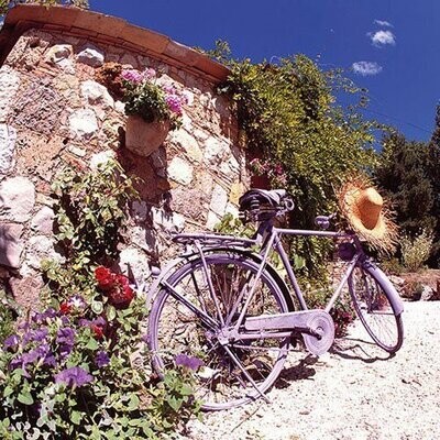 Bike in Provence