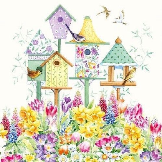 Bird box
