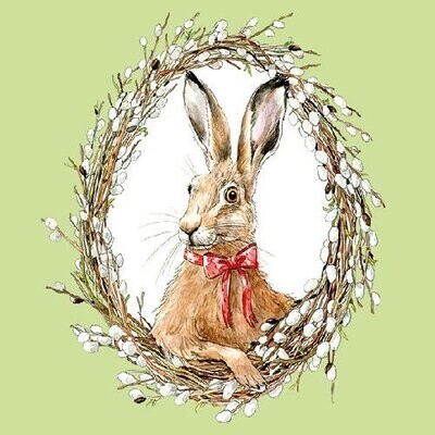 Bunny portrait