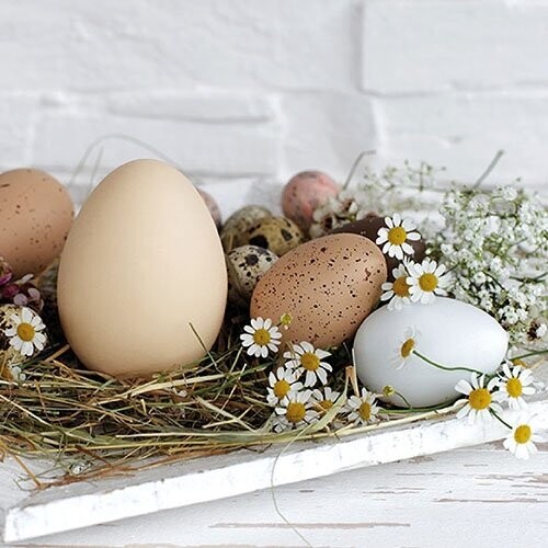 pastel eggs