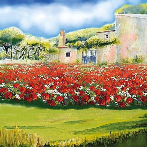 poppy garden