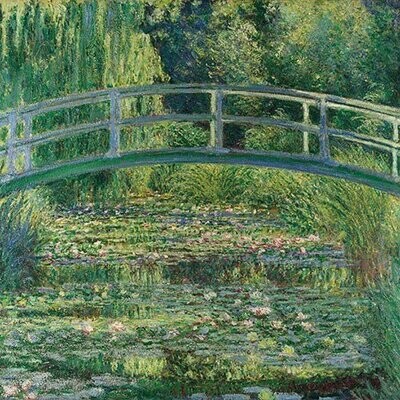 water lily pond