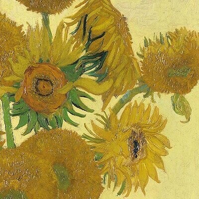 Van Gogh Sunflower