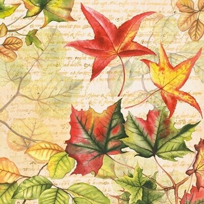 Autumn Time