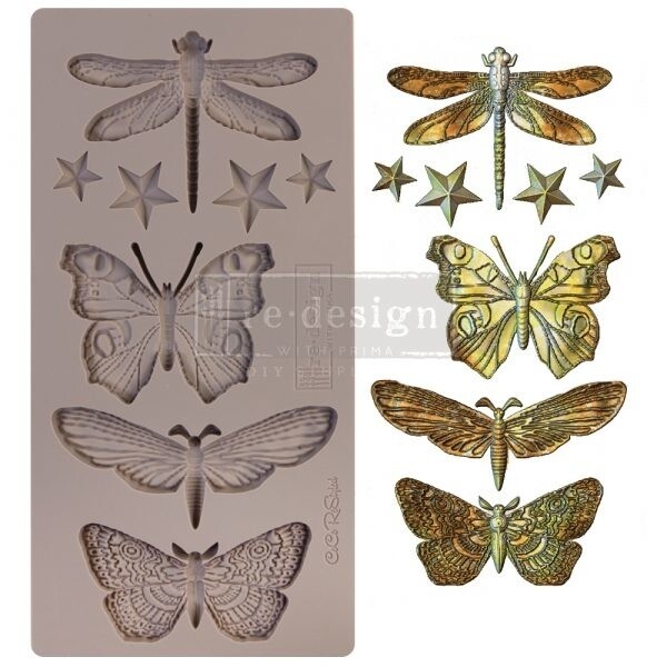 Insecta &amp; Stars
