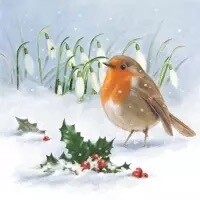 Robin, Holly &amp; Snowdrops