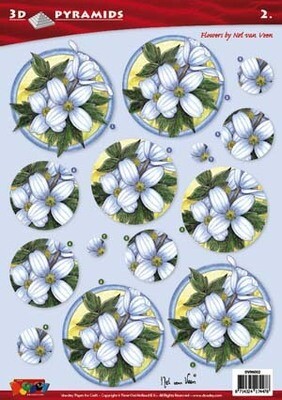 Flowers by Nel van Veen DV96002