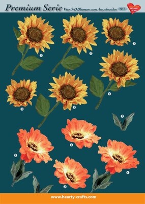 Flowers - 08