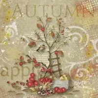 Apple Harvest