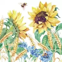 Sunflower and Wheat white