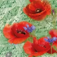 Painted Poppies Green