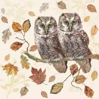 Owl Couple