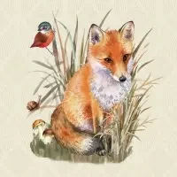 Foxy