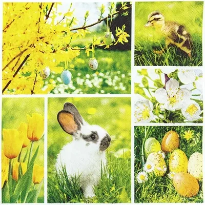 Easter Collage