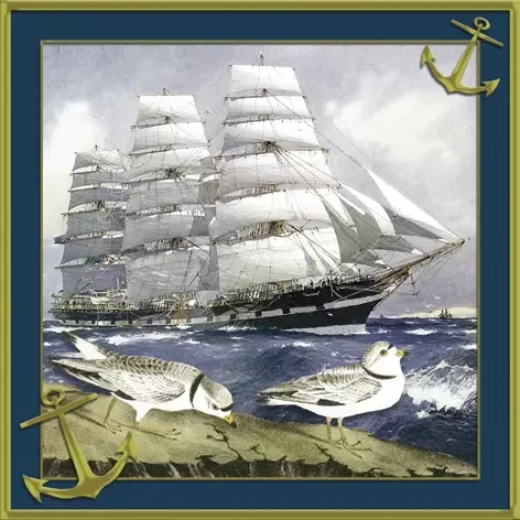 Windjammer