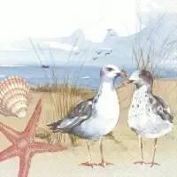 Seagulls at the Beach