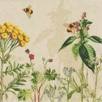 Wild Flowers