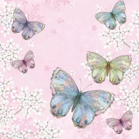 Bellissima Farfalla Pink