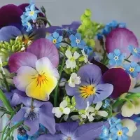 Violets and Forget Me Not