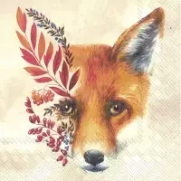Fuchs Cream