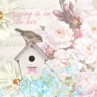 Bird House