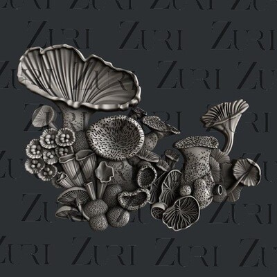Zuri Mould Mushroom Bloom 4