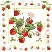 Fresh Strawberries