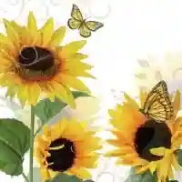 Sunny Butterfly